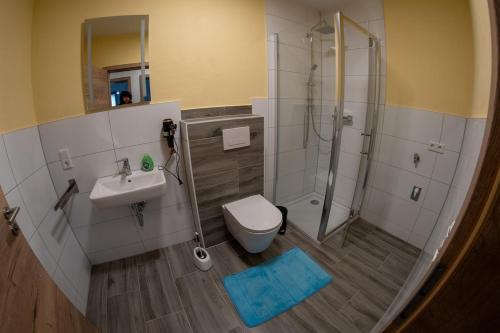 a bathroom with a shower and a toilet and a sink at Ferienwohnung an der Zwota in Klingenthal