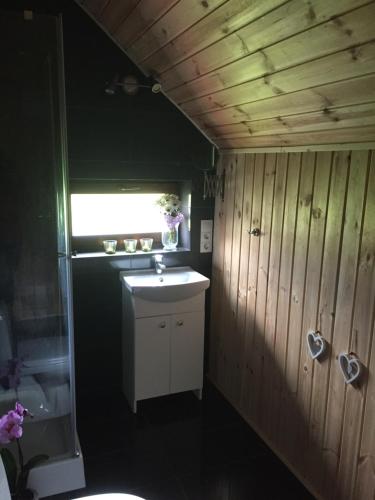 a small bathroom with a sink and a window at Dom Gór-ski in Wojcieszyce