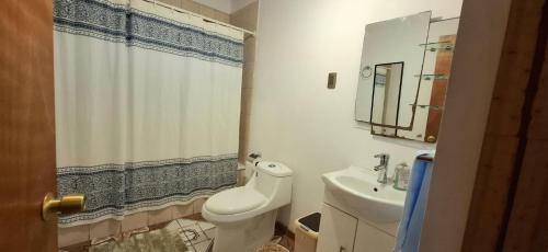 a bathroom with a white toilet and a sink at Casa Ika Moana in Hanga Roa