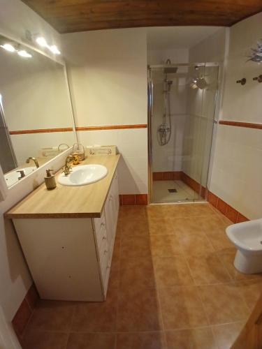 a bathroom with a sink and a shower at Alojamiento Peña Dorada in Lumpiaque