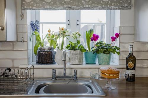 a kitchen sink with flowers on a window sill at 2 Bed in St Helens oc-76608 in Brading