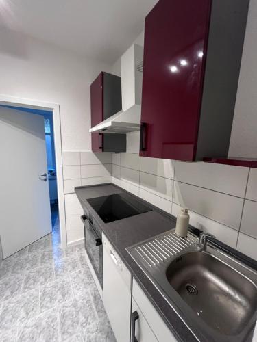 a kitchen with a sink and red cabinets at Gästewohnung Mable in Greiz