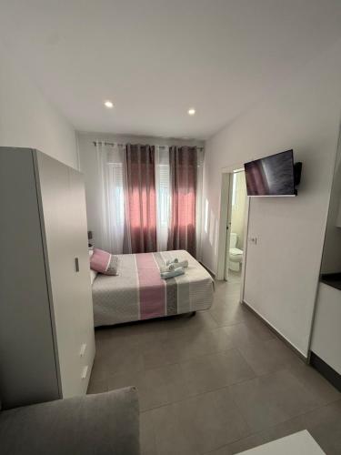 estudio Conil
