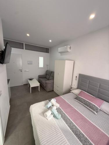estudio Conil