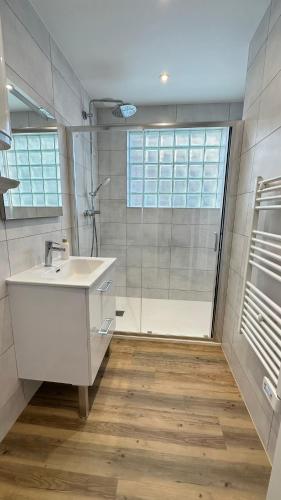 a bathroom with a sink and a shower at Les Jonquilles in Vernon