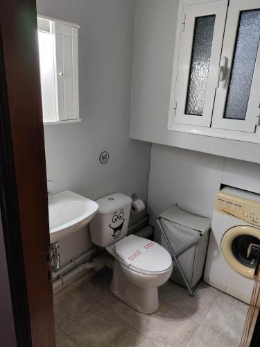 a small bathroom with a toilet and a sink at liogerma i in Agios Ioannis Kaspaka