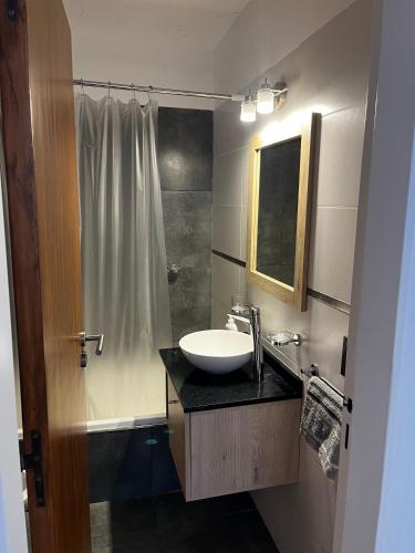 a bathroom with a sink and a shower at Espacio San Martin - Departamento en plena peatonal con Seguridad 24 hs in Santa Fe