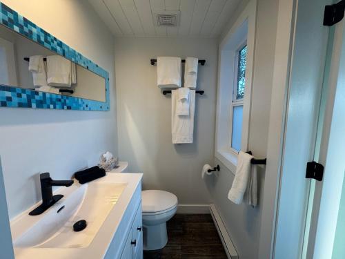a bathroom with a sink and a toilet and a mirror at Salt Spring Sunrise in Saltspring Island