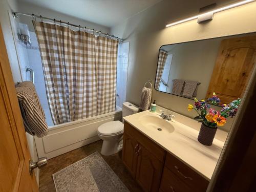 a bathroom with a sink and a toilet and a mirror at Miller Cabin in McCall