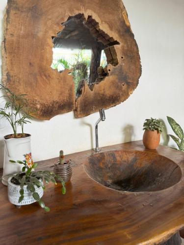 a wooden sink on a wooden table with plants at Pousada Dendê Caraiva in Caraíva