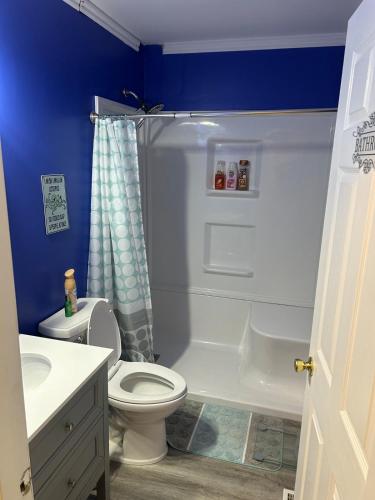 a bathroom with a white toilet and a sink at 3 bed room lake cottage in Geneva