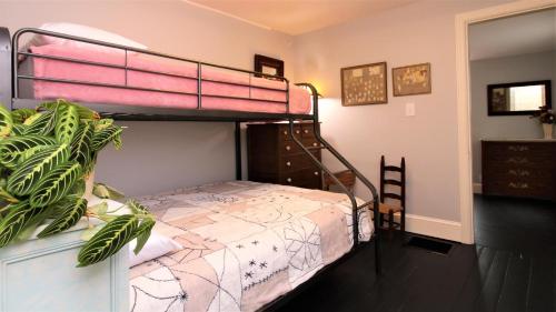 a bedroom with two bunk beds and a plant at Cottage At 37 Jackson in Cape May