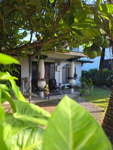Micheck beach house