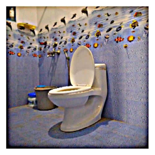a toilet in a bathroom with a wall with birds on it at ViRa Farm in Sūlagiri