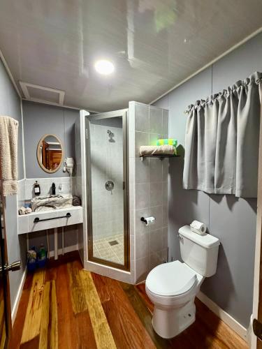 a bathroom with a toilet and a shower at Sunshine Cabanas At Ocean View in Dangriga