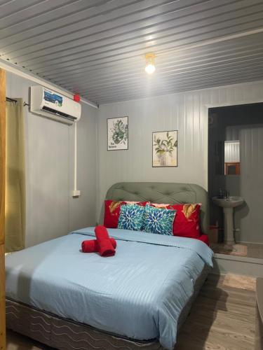 a bedroom with a large bed with red pillows at Stella'z guesthouse in Siquijor