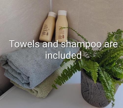 two bottles of shampoo and a plant next to a towel at Øya husrom nær E6,dobbeltrom, gratis parkering in Sarpsborg