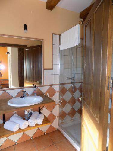 y baño con lavabo y ducha. en Casas Rurales las Eras III, en Ayllón