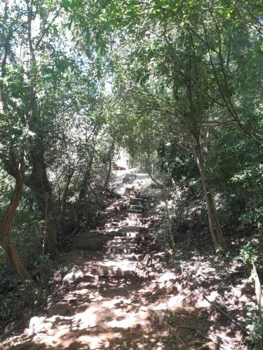 a dirt trail in a wooded area with trees at Swastha Retreat in Polgahawila