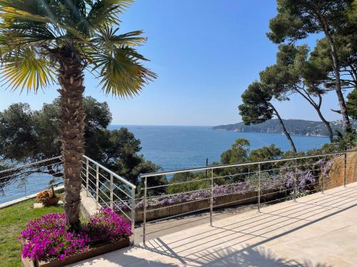 a palm tree and flowers next to the ocean at Blueview Villa in Llafranc