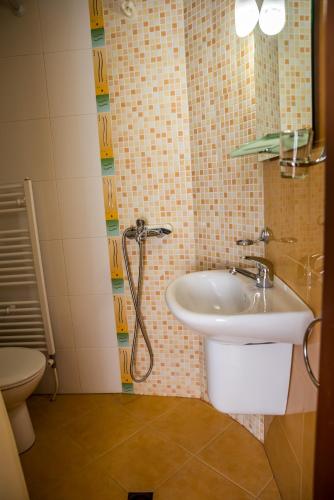 a bathroom with a sink and a toilet at Bariakov Family Hotel in Bansko