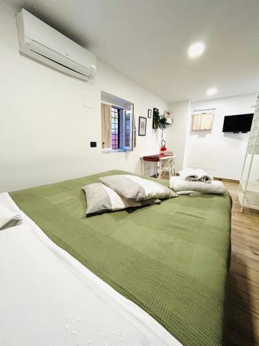 a large bed in a room with a green rug at Touch&Go - Stanza privata con servizi in Ciampino