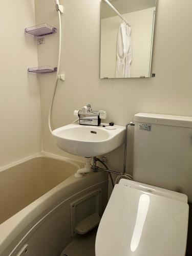 a bathroom with a sink and a toilet and a mirror at HAOSTAY Eirin in Fujikawaguchiko