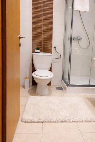 a bathroom with a toilet and a shower at RNR Airport 3 in Otopeni