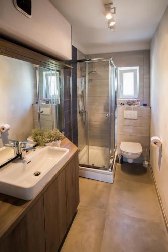 a bathroom with a shower and a sink and a toilet at Villa Estate 2 by Villas Guide in Kornić