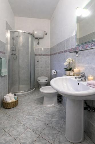 a bathroom with a shower and a sink and a toilet at I Castagnini in Montecatini Val di Cecina