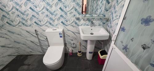 a bathroom with a white toilet and a sink at Silver Spring Villa in Siyambalape