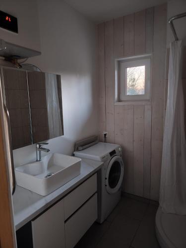 a bathroom with a sink and a washing machine at Brīvdienu māja in Jelgava