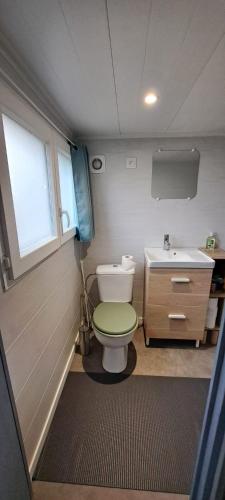 ein kleines Badezimmer mit Toilette und Waschbecken in der Unterkunft Tiny bleu in Naujac-sur-Mer