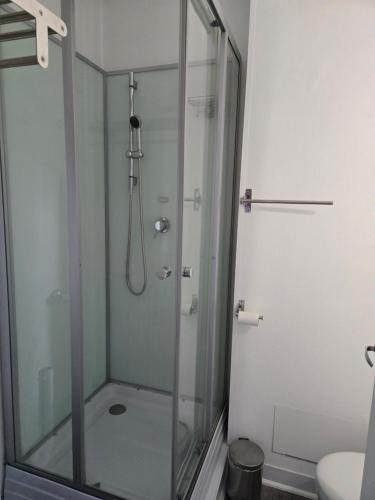 a shower with a glass door in a bathroom at Studio 110 pres Basel Airport in Saint-Louis