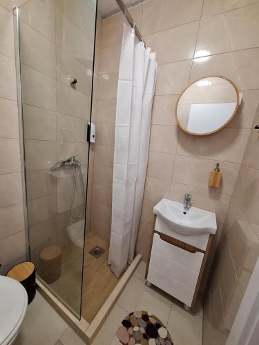 a bathroom with a shower and a sink and a mirror at Vila Dragica in Bogutovac