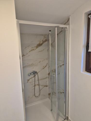 a shower with a glass door in a bathroom at La Miruna in Comăneşti