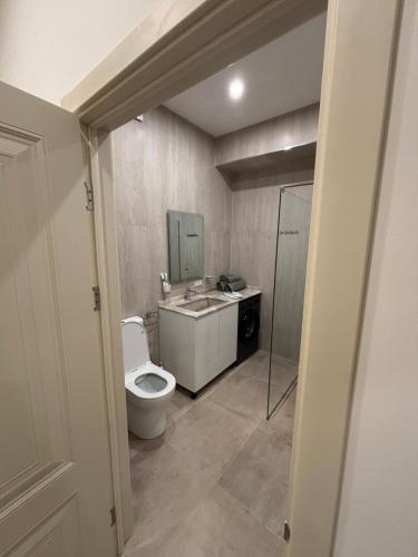 un bagno con WC e lavandino di Menechyan's Terrace a Yerevan