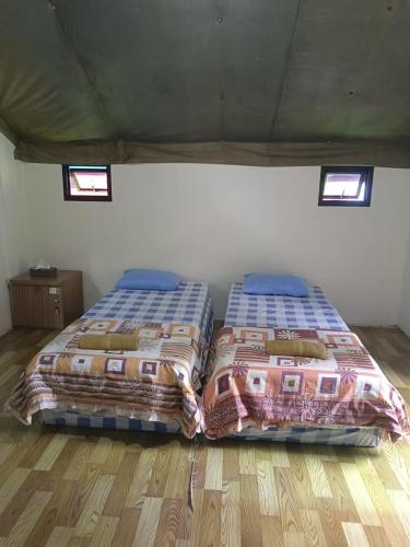 two beds sitting next to each other in a room at Glamping Camphills in Gunungpicung