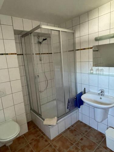 a bathroom with a shower and a toilet and a sink at Zum Seeweiher in Dreifelden