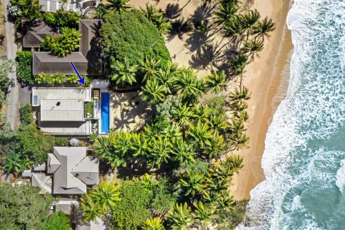 an aerial view of a beach with palm trees at Tenterfield Beachfront Luxury 4 Bedroom Holiday Home in Oak Beach