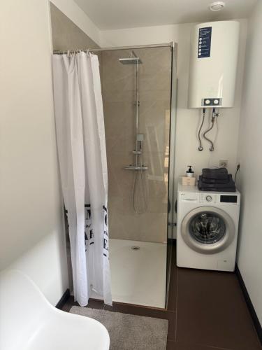 a bathroom with a shower and a washing machine at Lambertu ielas rezidence in Mārupe