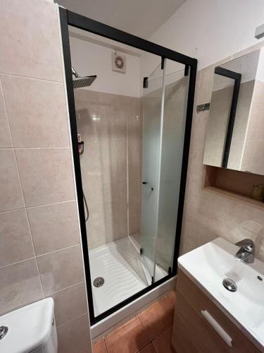 a shower with a glass door in a bathroom at APPARTEMENT sognu di rena G1 in San-Nicolao