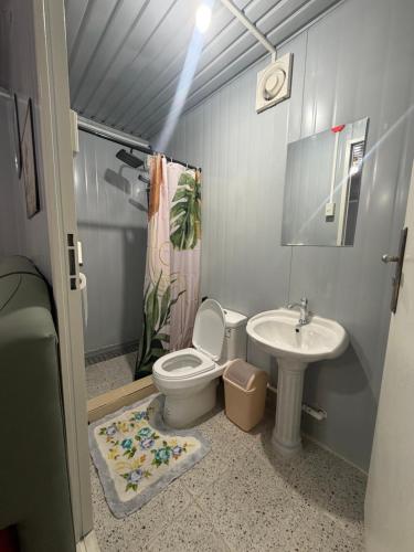 a bathroom with a toilet and a sink at Stella'z guesthouse in Siquijor