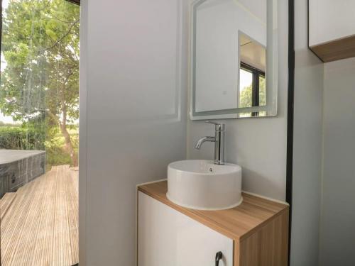 a bathroom with a sink and a mirror at Countryside Pod Retreat in Durston