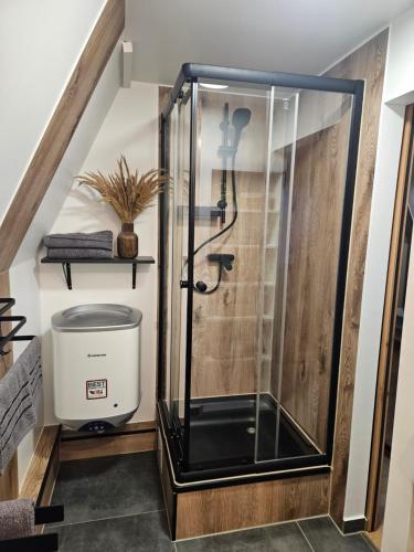 a walk in shower in a stair room at Finnhaus 1 Strandbad Adria in Kleutsch