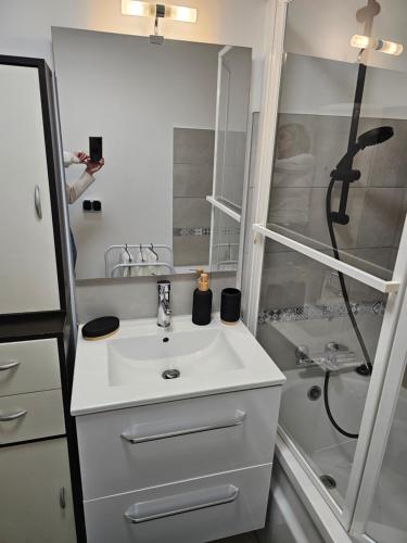 a white bathroom with a sink and a shower at Appartement paisible in Quévert