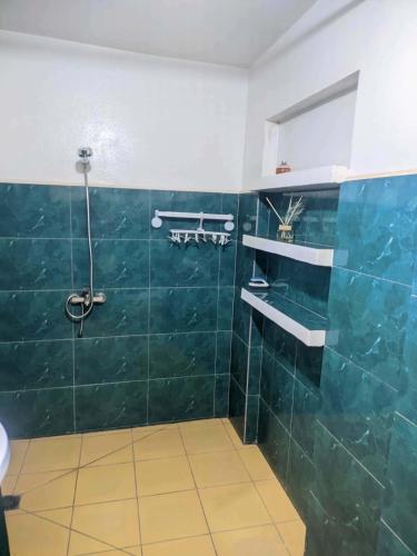 a bathroom with green tiled walls and a shower at villa EMMANUEL -2 in Belanitra