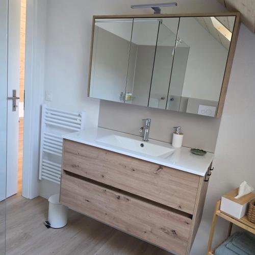 a bathroom with a sink and a mirror at Einzigartige Schlafkojen in Herisau