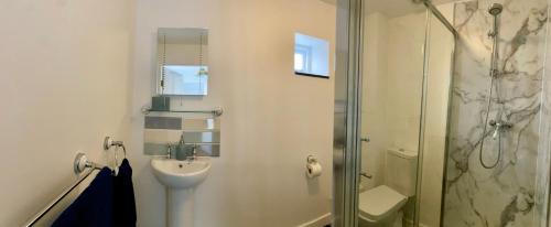 a bathroom with a shower and a toilet and a sink at Little Barn, Greendale Farm in Barnstaple