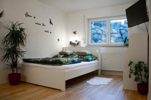 a bedroom with a bed with a window and plants at Ferienwohnung Bela in Wangen im Allgäu